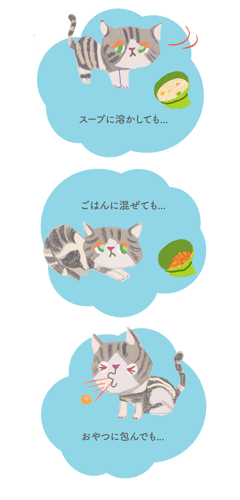 スープに溶かしても...ごはんに混ぜても...おやつに包んでも...＿猫の慢性腎臓病・高血圧