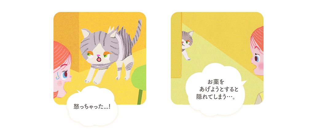 怒っちゃった...！お薬をあげようとすると隠れてしまう...。＿猫の慢性腎臓病・高血圧 