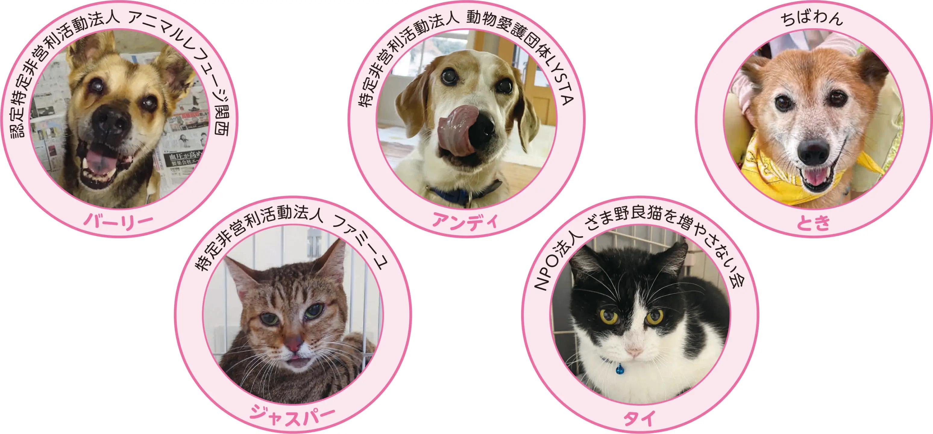 セーブペットプロジェクトによって支援を受けたワンちゃん、ネコちゃん