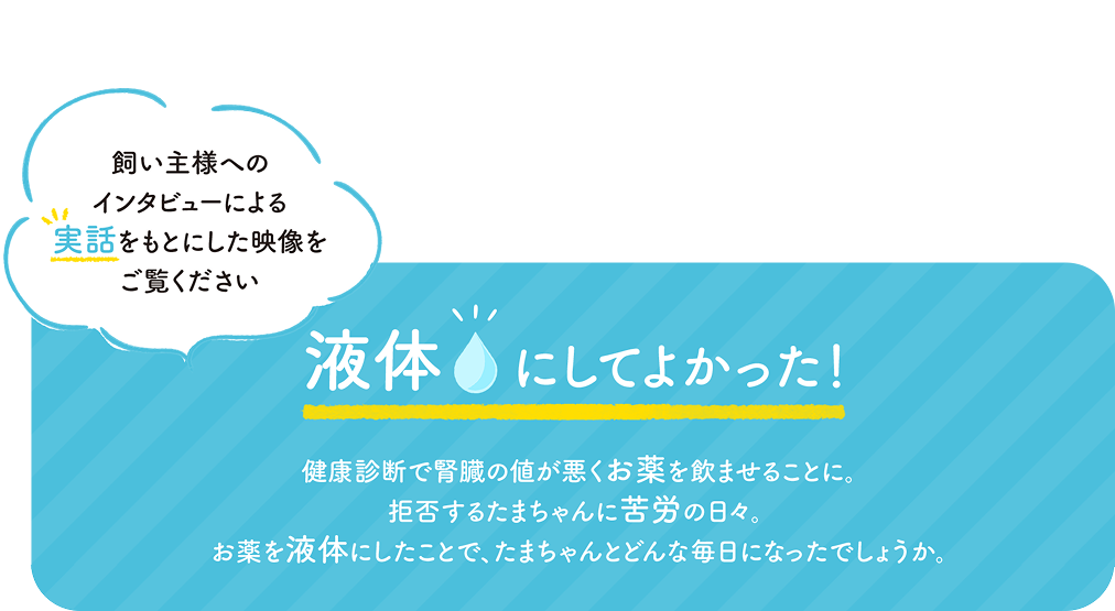 飼い主様へのインタビューによる実話をもとにした映像をご覧ください＿猫の慢性腎臓病・高血圧