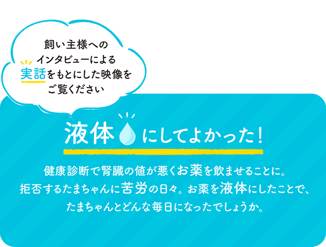 飼い主様へのインタビューによる実話をもとにした映像をご覧ください＿猫の慢性腎臓病・高血圧