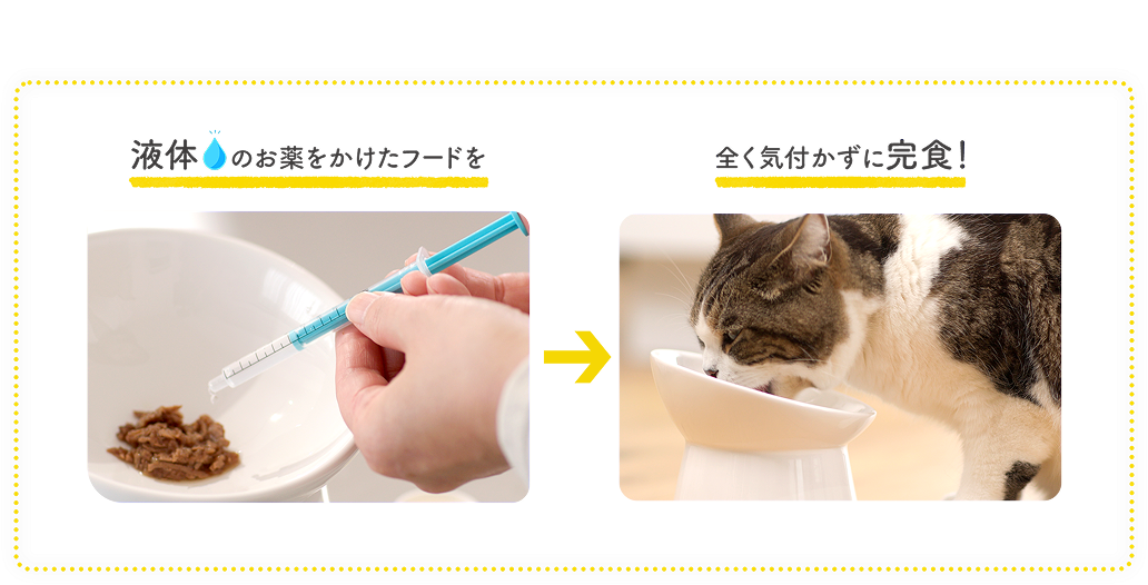 液体のお薬をかけたフードを全く気付かずに完食！＿猫の慢性腎臓病・高血圧