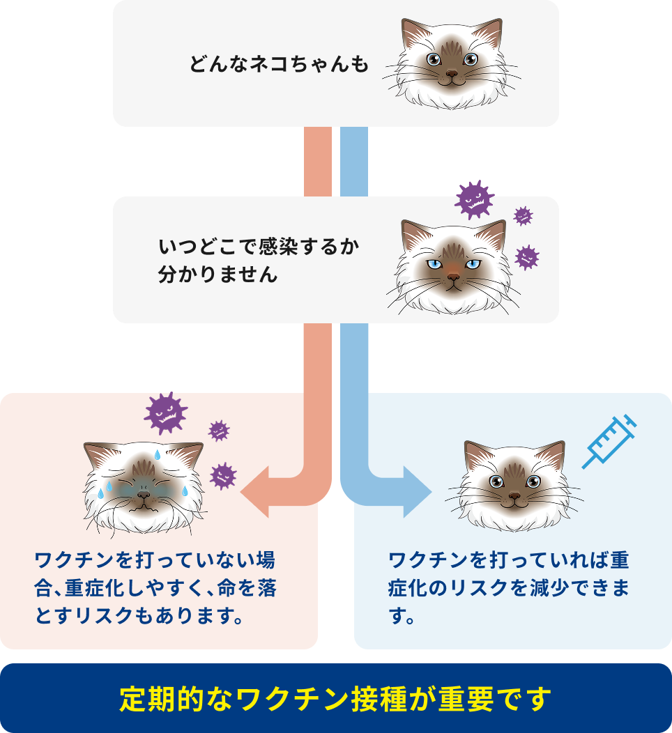 ワクチン接種の必要性について