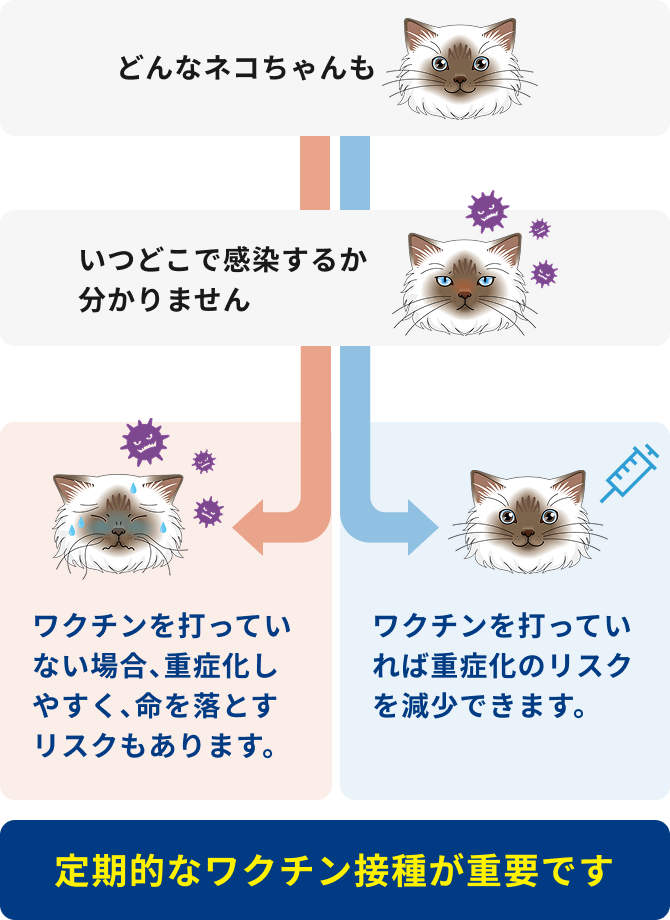 ワクチン接種の必要性について