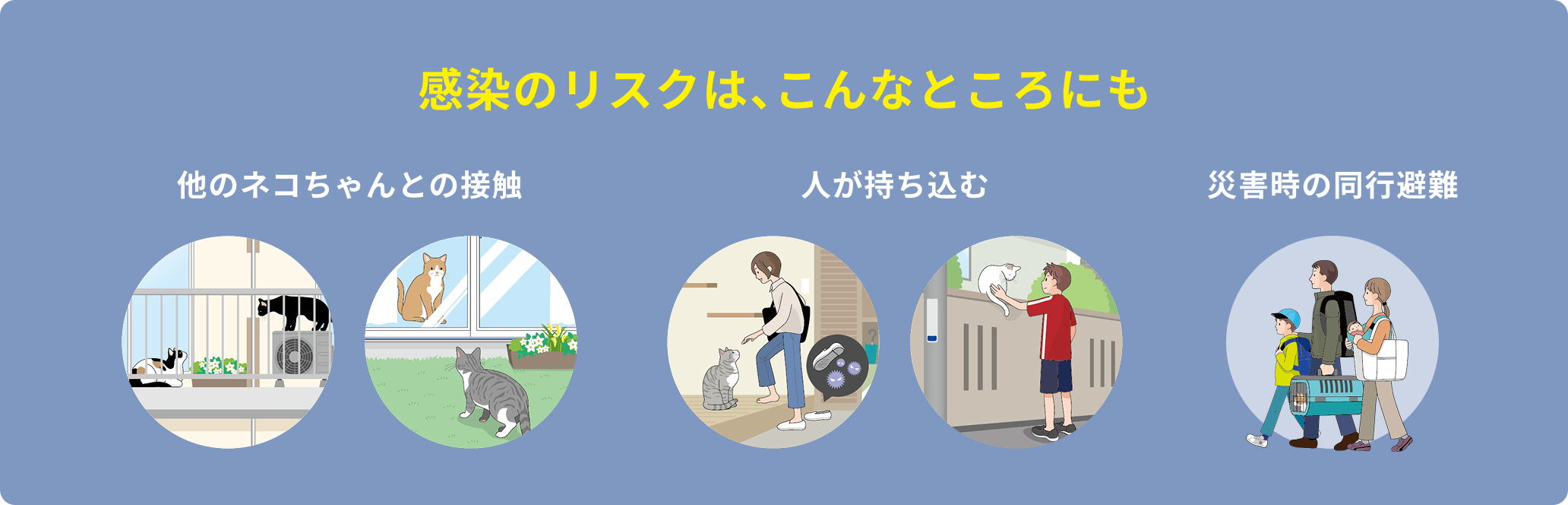 感染のリスクは、こんなところにも