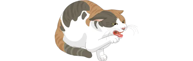 猫カリシウイルス感染症