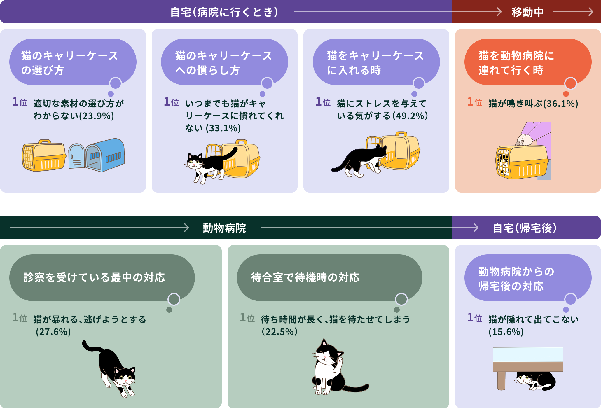 シチュエーション別猫の通院に関するお悩みごと