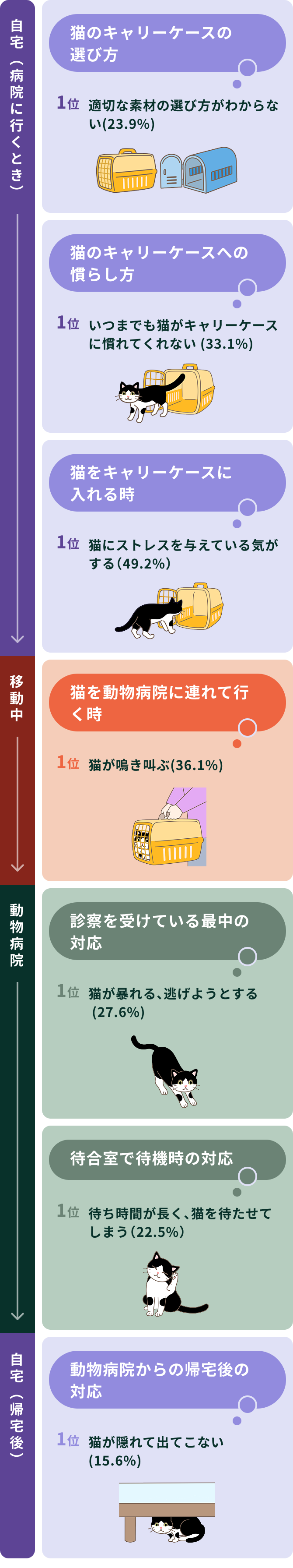 シチュエーション別猫の通院に関するお悩みごと