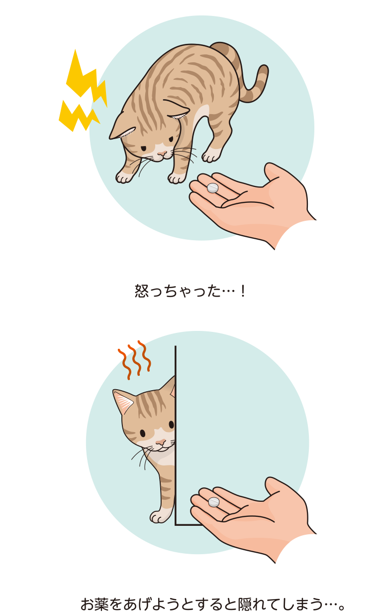 怒っちゃった...！お薬をあげようとすると隠れてしまう...。　猫の慢性腎臓病・高血圧 