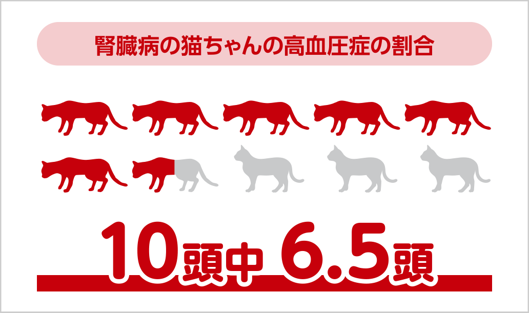 腎臓病の猫ちゃんの高血圧症の割合　10頭中6.5頭