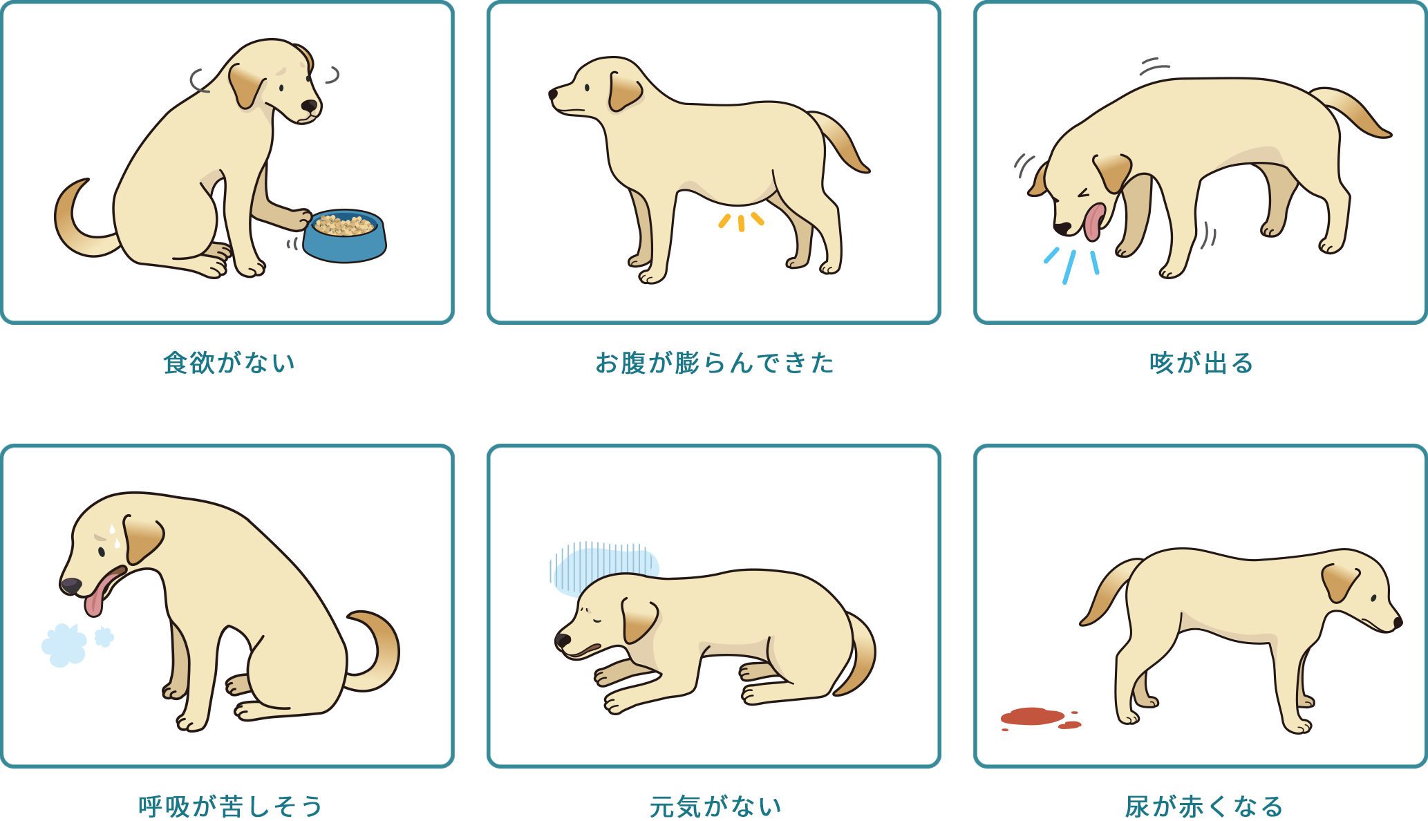 ワンちゃんの症状　犬猫のフィラリア症