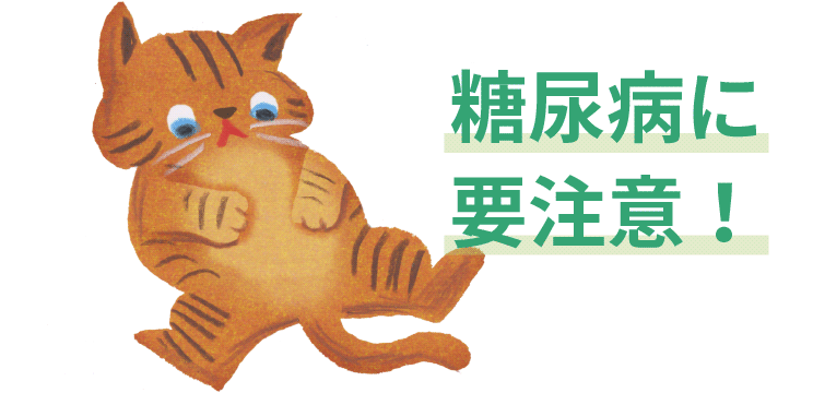 画像:糖尿病に要注意！