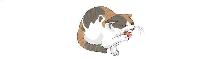 画像:主な症状に口内炎、口腔潰瘍、舌潰瘍