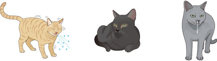 画像:主な症状にくしゃみ、目やに、鼻水