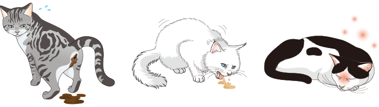 画像:主な症状に下痢、嘔吐、発熱