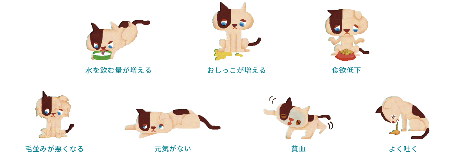 画像:慢性腎臓病の症状