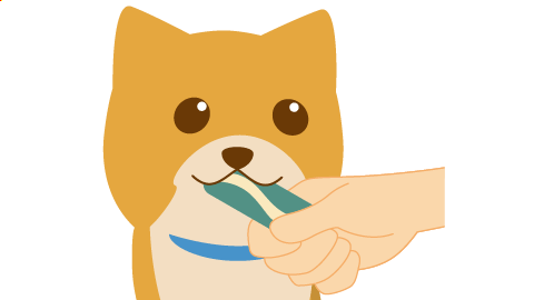 画像:2. 必ずオーラベット®を手にもって、白い部分と緑の部分をまんべんなく噛ませましょう。