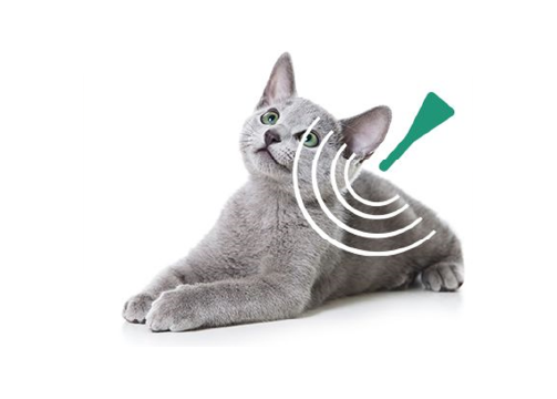 画像:24時間以内に成分が全身へとスピーディーに広がります。