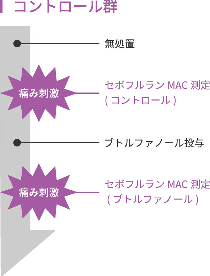 画像:コントロール群の流れ