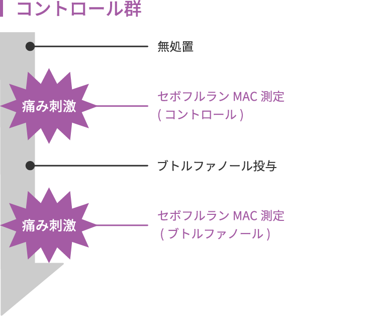 画像:コントロール群の流れ