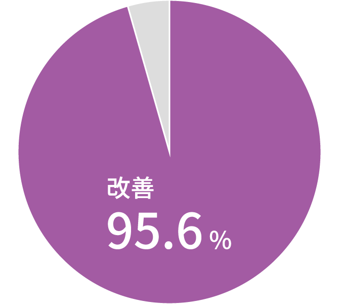 グラフ:起立時の姿勢、跛行、触診時の疼痛をスコア化し評価