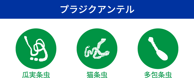 画像:プラジクアンテル