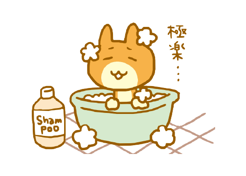 画像:シャンプーや水浴びの影響をほとんど受けません