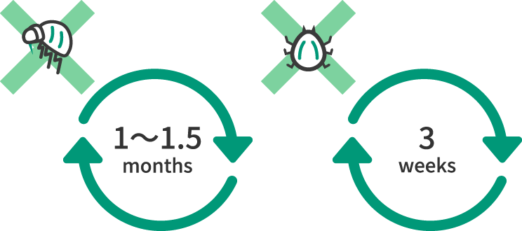 画像:効果がしっかり続く