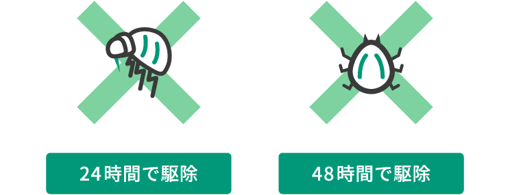 画像:ノミはわずか24時間、マダニは48時間で効果を発揮。