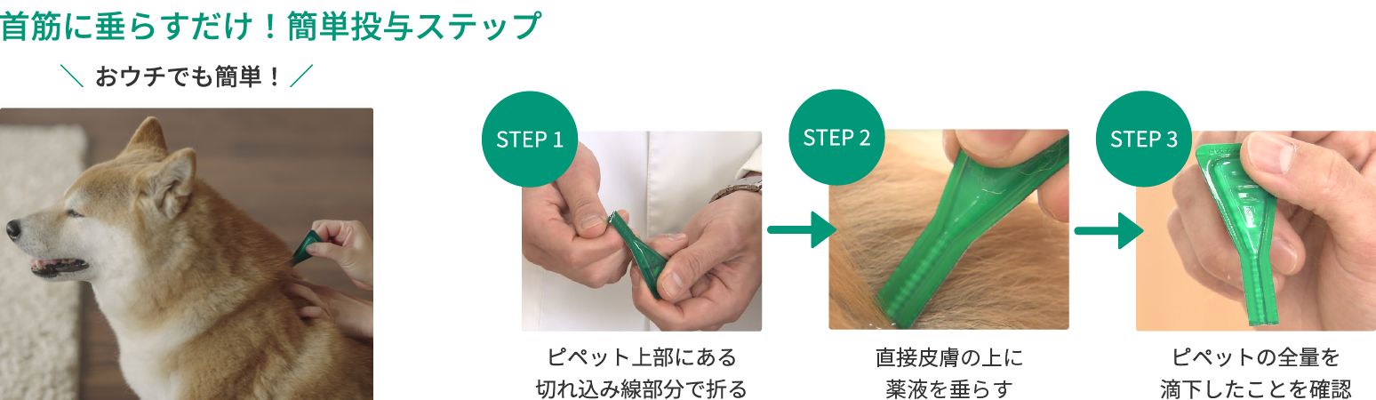 写真:首筋に垂らすだけ！簡単投与ステップ