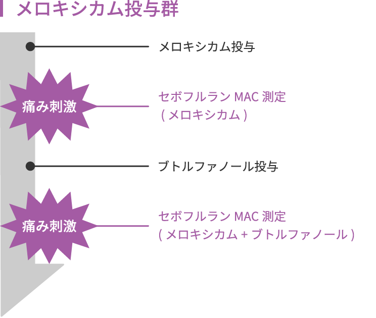 画像:メロキシカム投与群の流れ