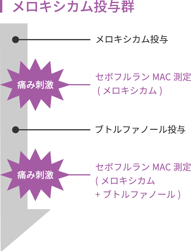 画像:メロキシカム投与群の流れ