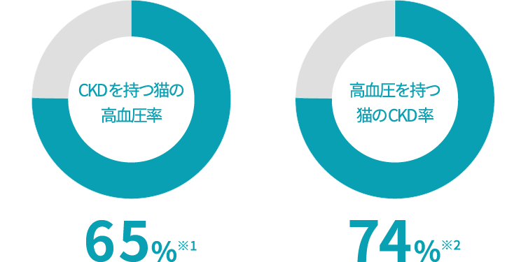 画像:慢性腎臓病と高血圧の関係性にまつわるグラフ