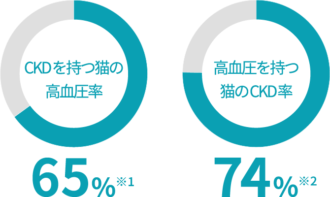 画像:慢性腎臓病と高血圧の関係性にまつわるグラフ