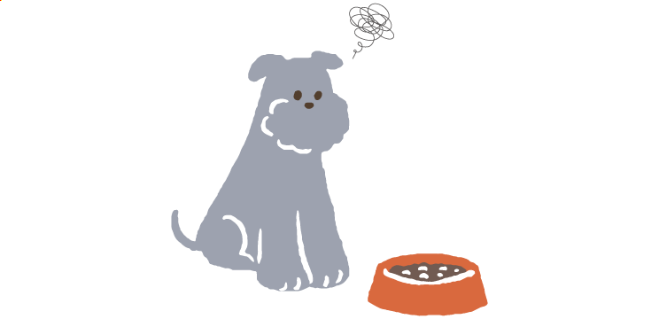 画像:ご飯を食べようとしない犬