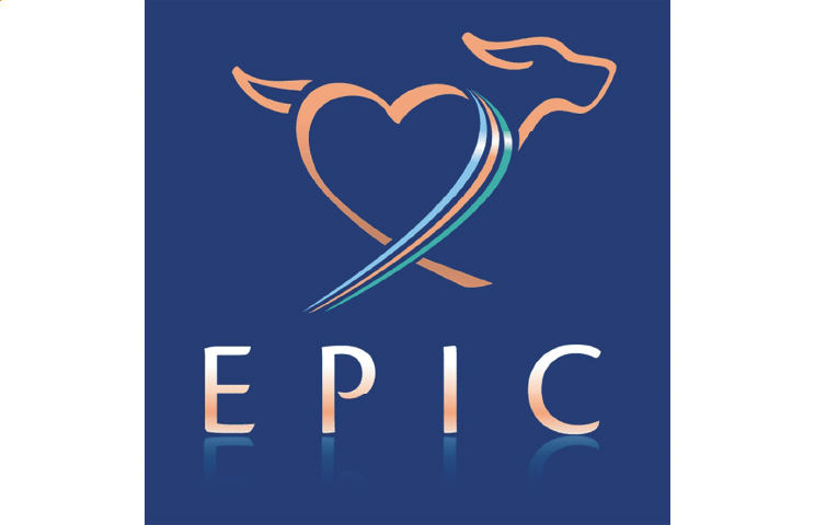 画像:EPICロゴ
