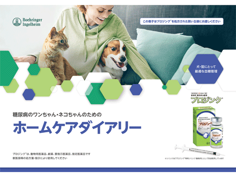 画像:ホームケアダイアリー