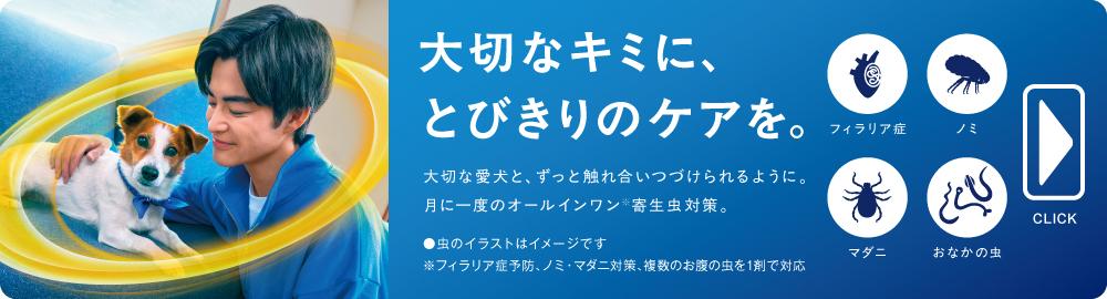 月1回食べるだけ！オールインワンの寄生虫対策はこちら！