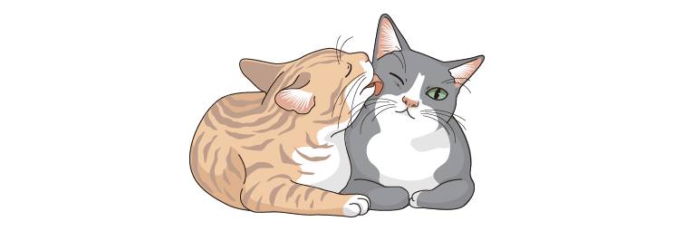 画像:いつ、どこでかかるかわからないのが、感染症の恐ろしさ