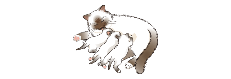 画像:ワクチン接種はなぜ必要なの？