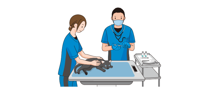 画像:生涯にわたって定期的なワクチン接種を