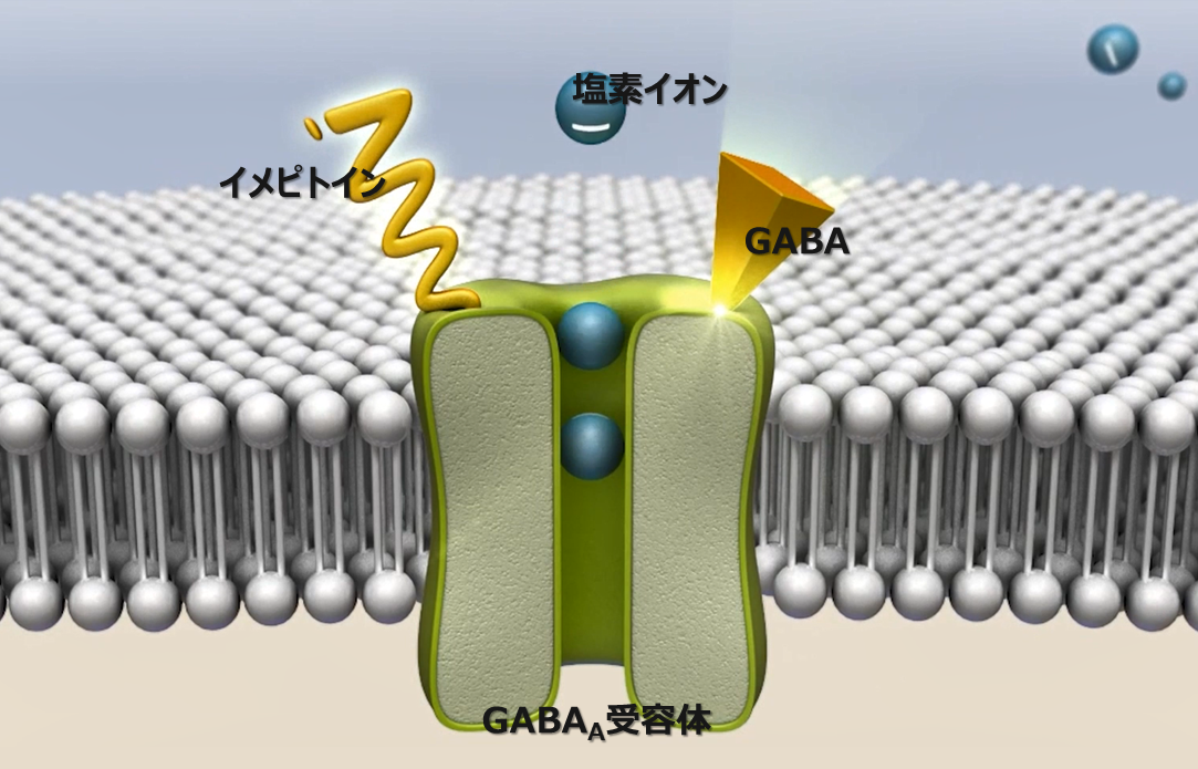 画像:動画切り抜き画像
