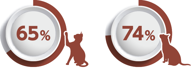 画像:慢性腎臓病と高血圧の関係性にまつわるグラフ