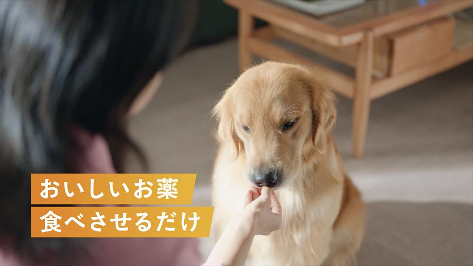特長1 ｜ 信頼のフロントライン®のメーカーから新登場。食べさせるだけの、ノミ・マダニ駆除薬。