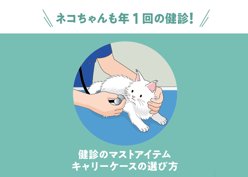 ネコちゃんにも年１回健診を！