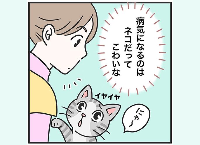 ネコちゃんのワクチンについて