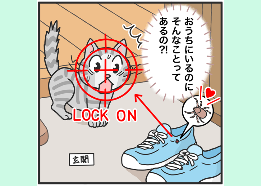 家猫を狙う外の侵入者
