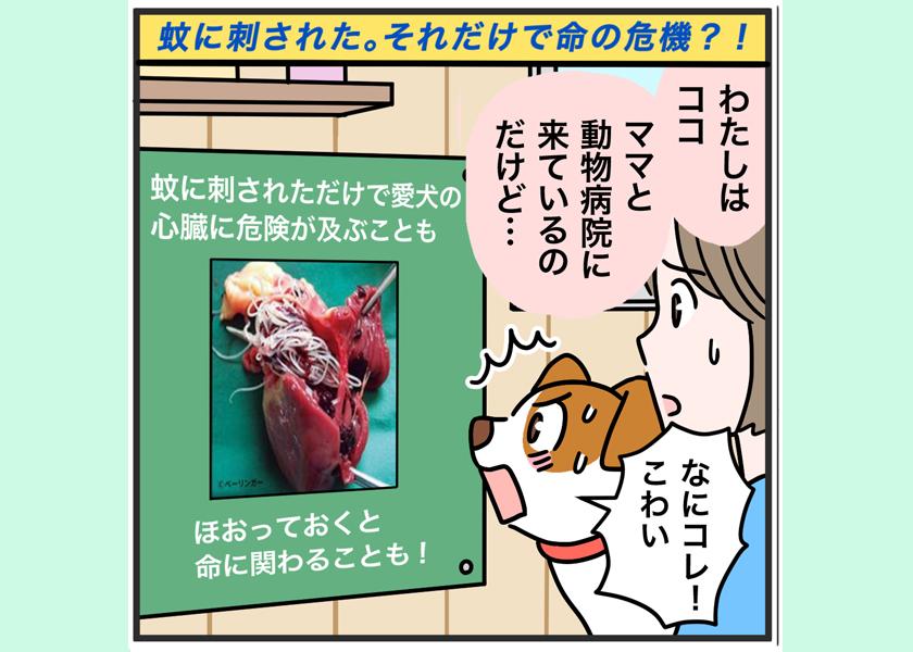 フィラリア症について